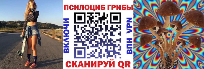 Галлюциногенные грибы Psilocybine cubensis Мариинск